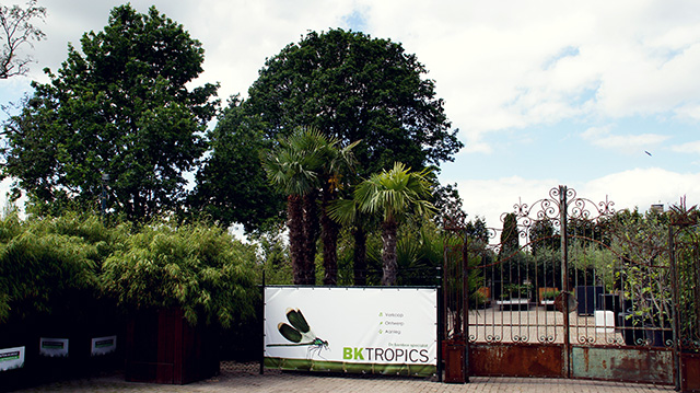 De ingang van Bamboekwekerij BK Tropics in Veldhoven, nabij Eindhoven